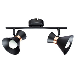 A1406AP-2BK Arte Lamp BALTIMORE двухрожковый потолочный спот с металлическим основанием