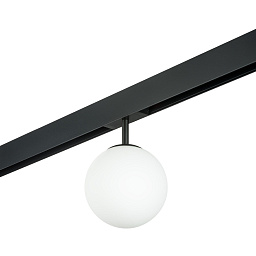 PRO120107 Lightstar Teta трековый шарообразный светильник для двухфазной системы