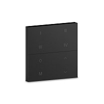 SPACE CCT PANEL TUYA, Цвет: черный