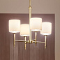 Ali 20" 4 Light Chandelier Brushed Natural Brass люстра 52504BNB Kichler — фото 2