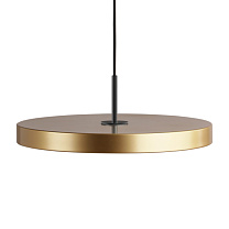 Asteria Medium Brass - Black Top 43 x 14 cm, 2.7m cordset