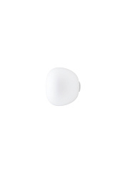 F07G0301 Fabbian Lumi Настенно-потолочный светильник