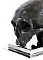 107945 Bookend Skull set of 2  держатель для книг Eichholtz