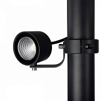 Moss