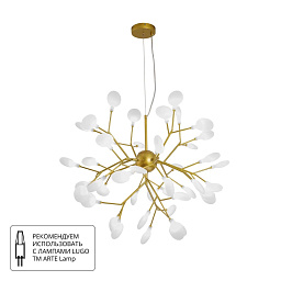 A7274SP-45GO Arte Lamp CANDY подвесная люстра с крупными стеклянными плафонами