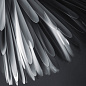 FN297007ML_71 Foscarini Sun Light of Love SP LED люстра дизайнерская матовое золото — фото 13