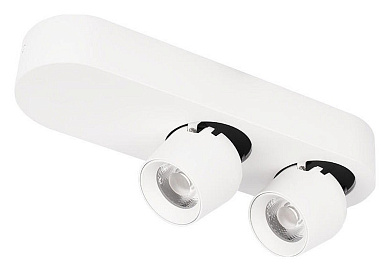 двухточечный потолочный светильник с поворотными головками белого цвета