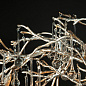 10067/1500 SG Loft it Bijout подвесная люстра 5W — фото 9