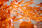 Люстра Ivy Shadow Large with Chain Porta Romana MCL37LC — фото 5