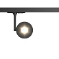 Трековый светильник Track lamps Maytoni черный TR024-1-10B3K