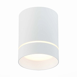 ST115.532.12 ST-Luce потолочный цилиндрический светильник белого цвета для направленного света