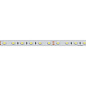 017456 Arlight Лента ULTRA-5000 24V Warm2700 2xH (5630, 300 LED, LUX) — фото 2