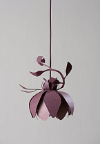 Brinjal with Blush