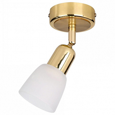 потолочный светильник с одним плафоном