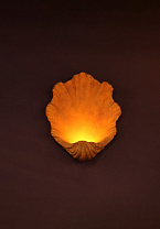 Scallop Wall Light Small