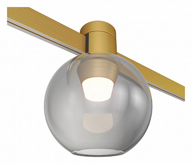 потолочный накладной светильник с шарообразным стеклянным плафоном и золотистым держателем для магнитного трека