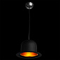 Подвесной светильник Arte Lamp CAPPELLO A3234SP-1BK — фото 1