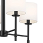 Ali 20" 4 Light Chandelier Black люстра 52504BK Kichler — фото 8