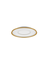 Dimmable by Remote Control CCT Sandy Gold Steel, Aluminium & Acrylic LED 49 Watt 220-240Volt 2771Lm 2700 - 5000K IP20 D: 60 H: 6.5 cm