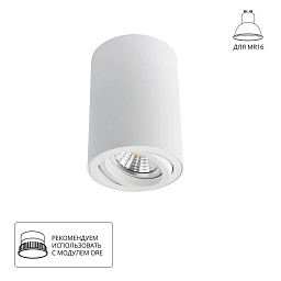 A1560PL-1WH Arte Lamp SENTRY точечный накладной светильник с цилиндрическим корпусом