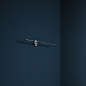 LSP6G Catellani & Smith Light Stick настенный светильник — фото 6