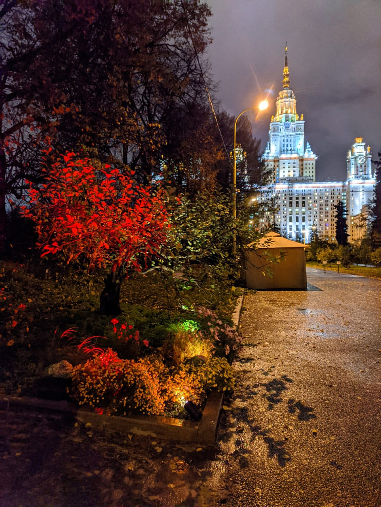 Участие в проекте освещения Ботанического сада г. Москвы "Осветим вместе" — фото 9