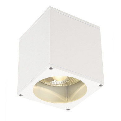 229551 SLV BIG THEO CEILING OUT светильник потолочный IP44 ES111 75W, белый