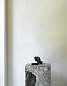 607888 Normann Copenhagen Crooked Два подсвечника, бронза — фото 7