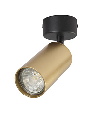 CLT 015CW1R BL-GO Crystal Lux Rivo потолочный спот с матовым золотым корпусом и направленным светом