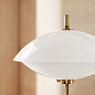 31000505 Clam Fritz Hansen торшер — фото 6