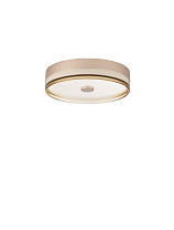 Triac Dimmable Champagne Gold Steel & Amber Acrylic LED 22Watt 220-240Volt 1320Lm IP20 3000K D:40 H:9.7 cm