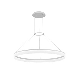 00-3642-BW-M3 Leds C4 Circ подвесной светильник кольцевой формы белого цвета