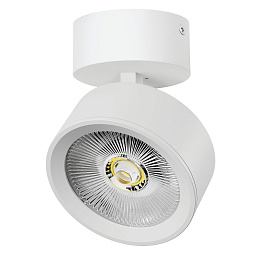 A5646SO Lightstar Alta Pro Накладной светильник