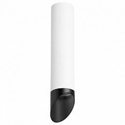 R49637 Lightstar Rullo 2 Накладной светильник