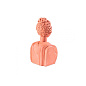 SE11513 Seletti Objects Magna Graecia Терракотовый бюст Поппея аксессуар для дома — фото 1