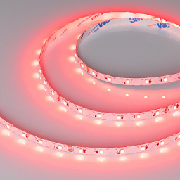 042909 Arlight Лента RZ-A60-8mm 24V RGB (8 W/m, IP20, 2835, 5m)