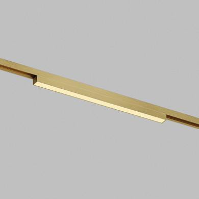 Трековый светильник Denkirs Shine DK5951-SB
