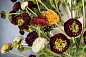 TULIPIER BABILON RANUNCOLO BIG среднее цветочное украшение, VGnewtrend — фото 2