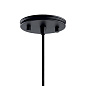 Danika 1 Light Mini Pendant Black подвесной светильник 43682BK Kichler — фото 2