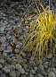 CNC Oval Garden 100 Lombardo садовый подвесной светильник — фото 1