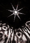 Подвесной светильник Medusa SLAMP — фото 4