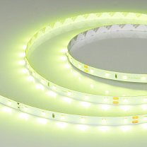RT-A60-8mm 24V Spring Green (4.8 W/m, IP20, 5m)