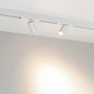 Трековый светильник Arlight MAG-SPOT-25-R65-5W — фото 4