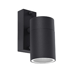 A3302AL-1BK Arte Lamp MISTERO фасадный светильник с одним направленным плафоном