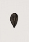 Настенный светильник Mussel Shell Bathroom Porta Romana BWL03 — фото 2