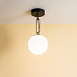 Artemide NH 22 Ceiling PL дизайнерский потолочный светильник — фото 1