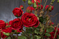 CYLINDER RED ROSES BUSH Цветочная композиция со стеклянной вазой VGnewtrend