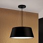 Подвесной светильник Orion Shade HL 6-1653/4 schwarz/311 schwarz — фото 1