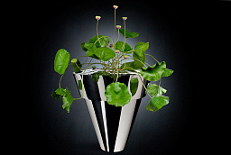 1141485.60 VGnewtrend Nelumbo Искусственное растение