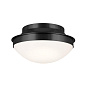 Bretta 13.5" 2 Light Flush Mount Black  потолочный светильник 52544BK Kichler — фото 6